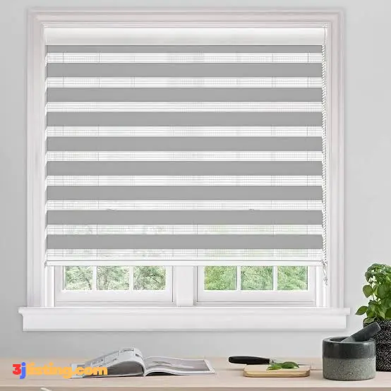 Zebra Window Blinds