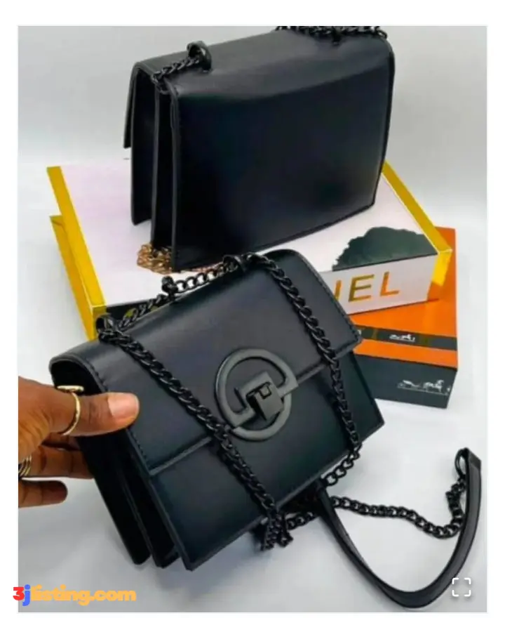 Zara luxury bag