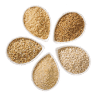 Farm Animal Feed & Supplements
