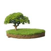 Land & Plots For Sale