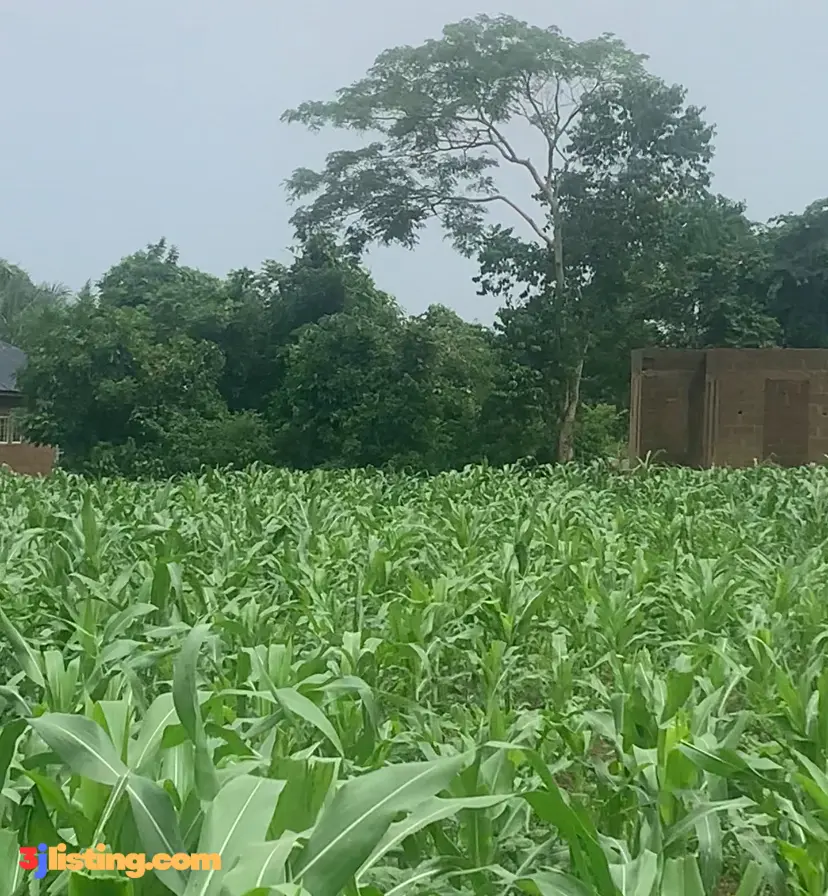 2plots of land for residential and commercial development